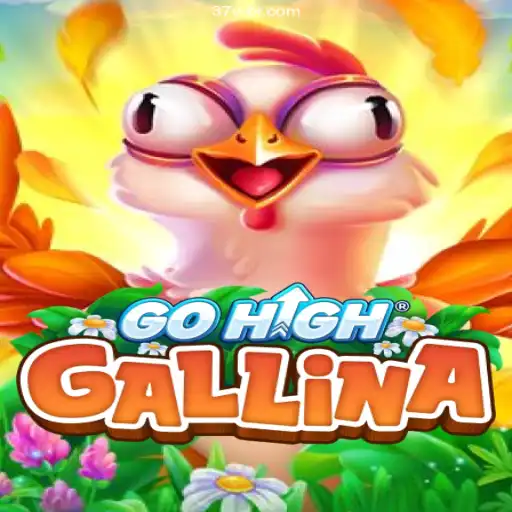 An In-Depth Look at GoHighGallina: The Thrilling Game Revolutionizing the Brazilian Gaming Scene